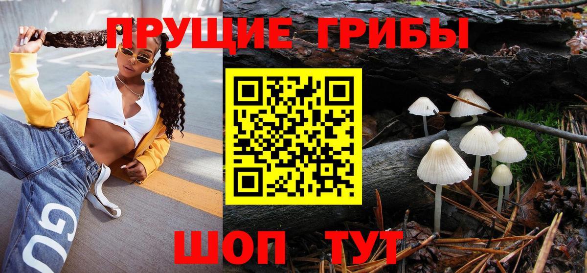 Псилоцибиновые грибы мицелий  Санкт-Петербург  Галлюциногенные грибы Psilocybe 