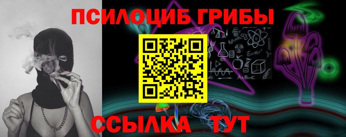 Галлюциногенные грибы Magic Shrooms  Вход с VPN  Галлюциногенные грибы Psilocybine cubensis  Санкт-Петербург 