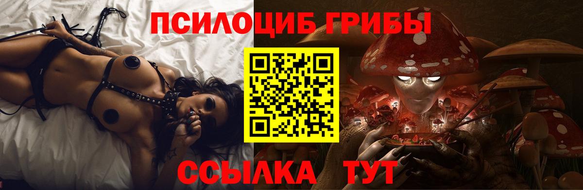 Галлюциногенные грибы GOLDEN TEACHER Санкт-Петербург