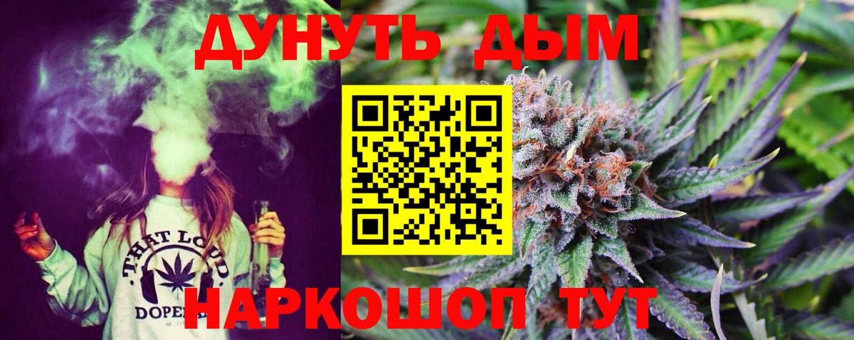 Шишки марихуана план Санкт-Петербург